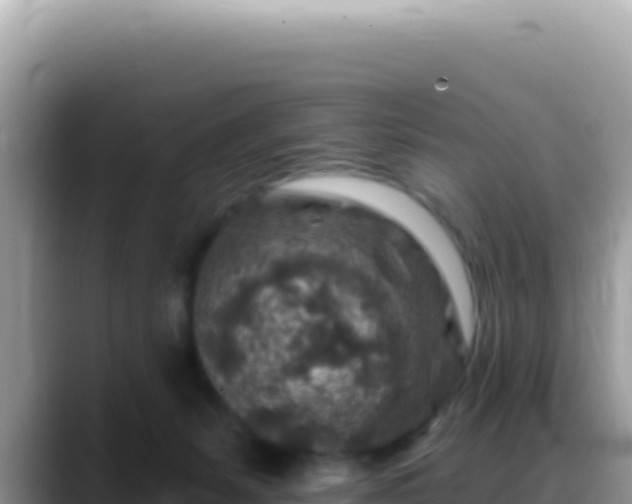 X0000088730127200706071647