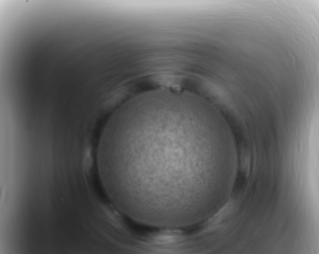 X0000088730128200706071647