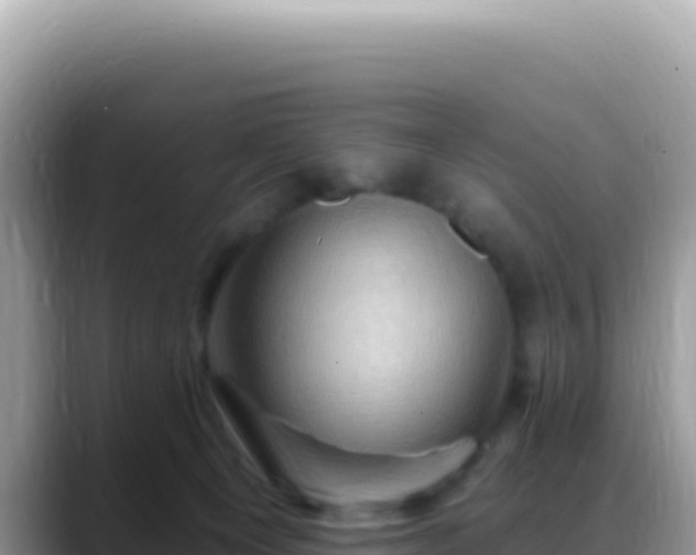 X0000088730129200706071647