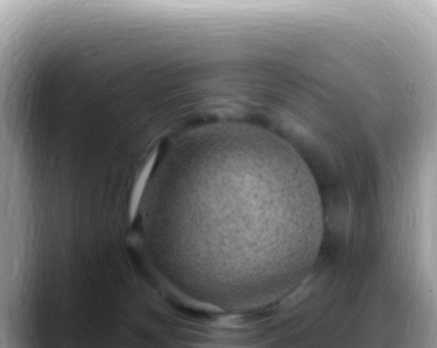 X0000088730132200706071647