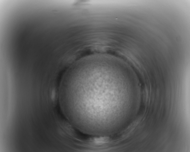 X0000088730134200706071647