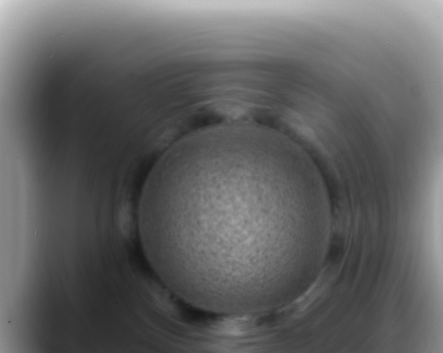 X0000088730136200706071647