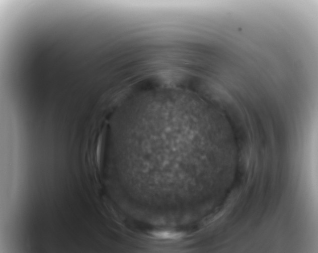 X0000088730137200706071647