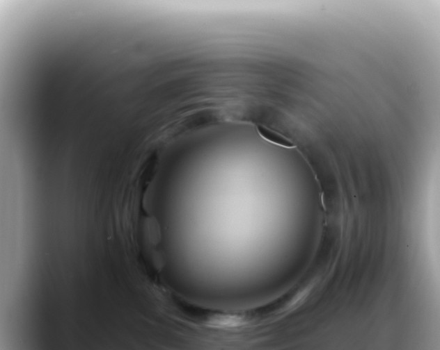 X0000088730139200706071647