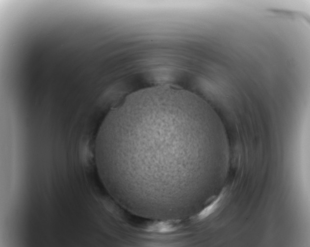 X0000088730140200706071647