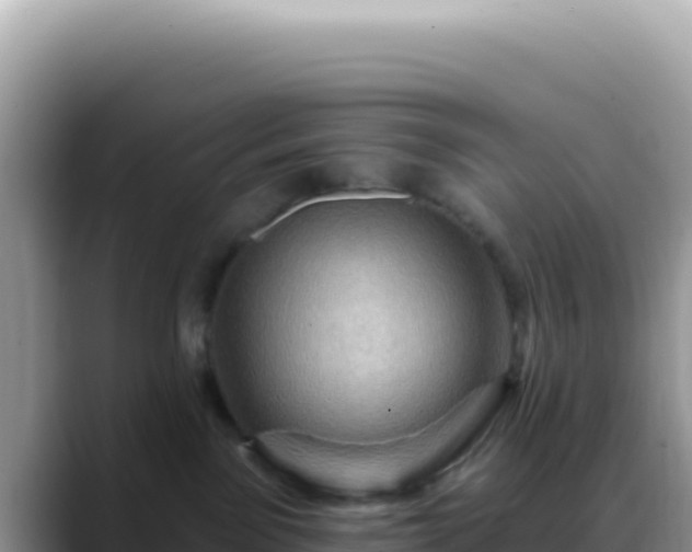 X0000088730141200706071647