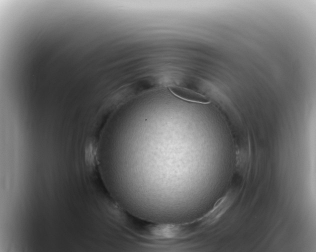 X0000088730142200706071647