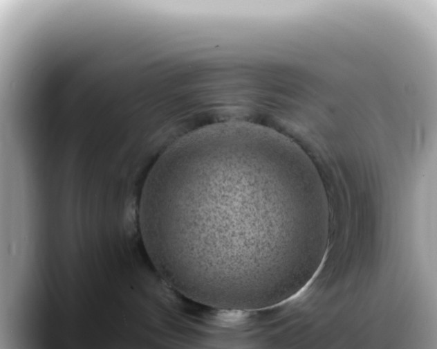 X0000088730144200706071647