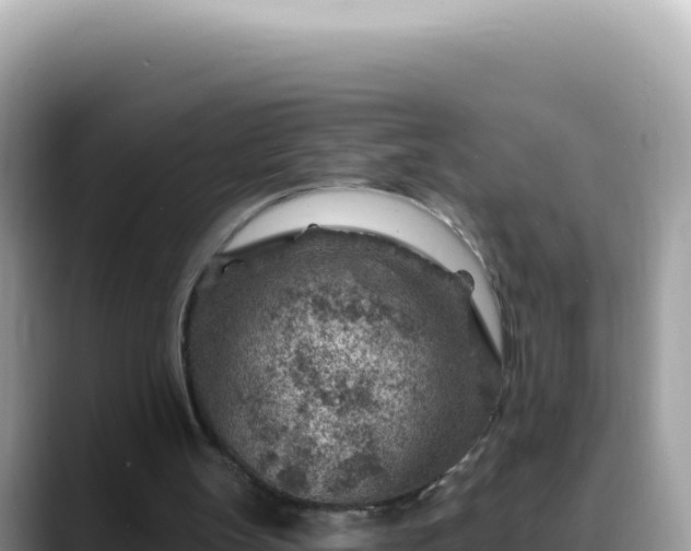 X0000088730147200706071647
