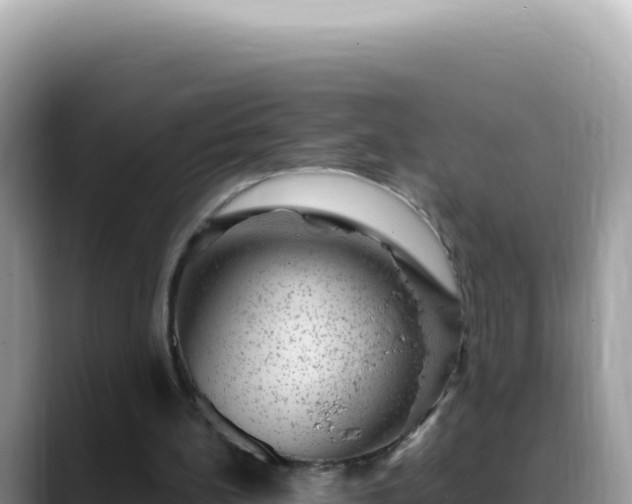 X0000088730148200706071647