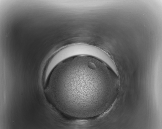 X0000088730150200706071647