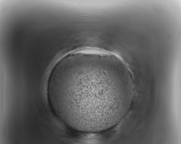 X0000088730151200706071647