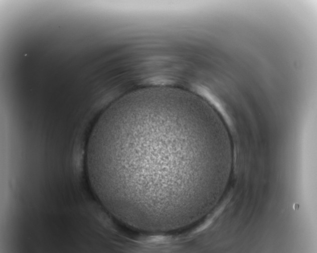 X0000088730153200706071647