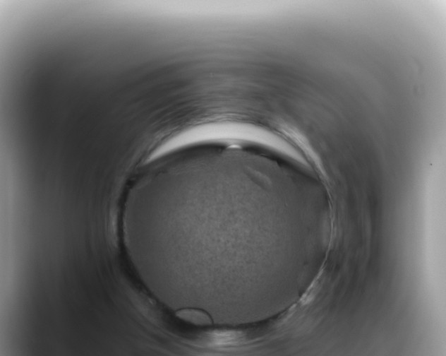 X0000088730154200706071647