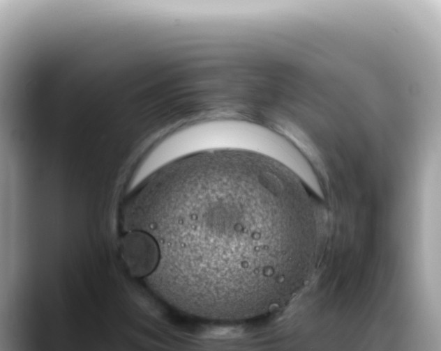 X0000088730155200706071647