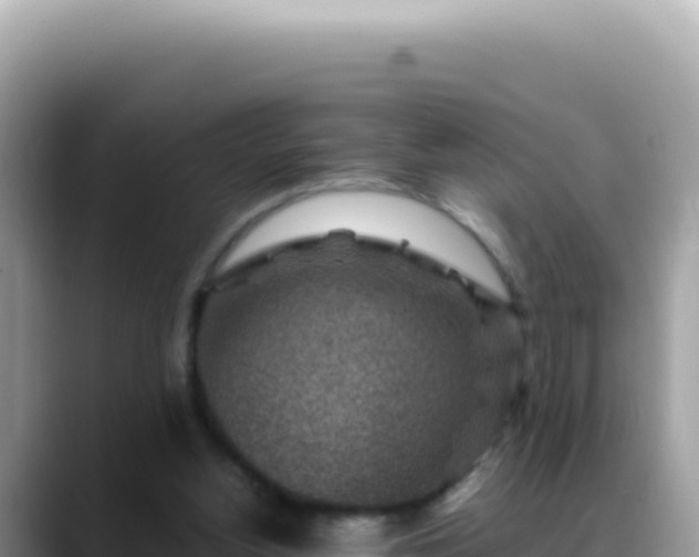 X0000088730156200706071647