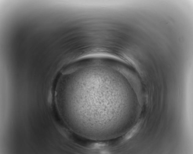 X0000088730158200706071647