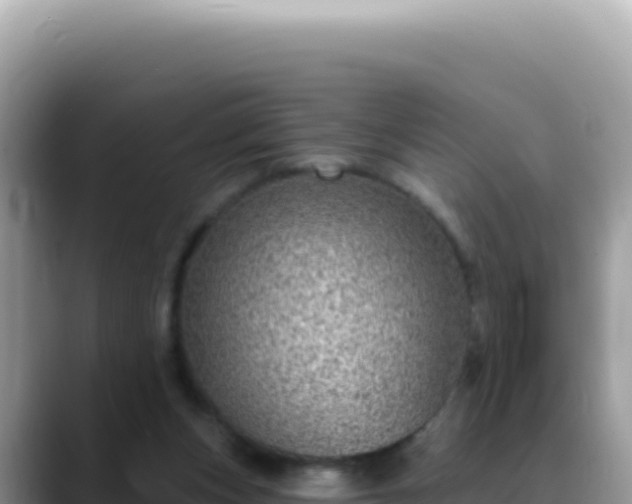 X0000088730159200706071647