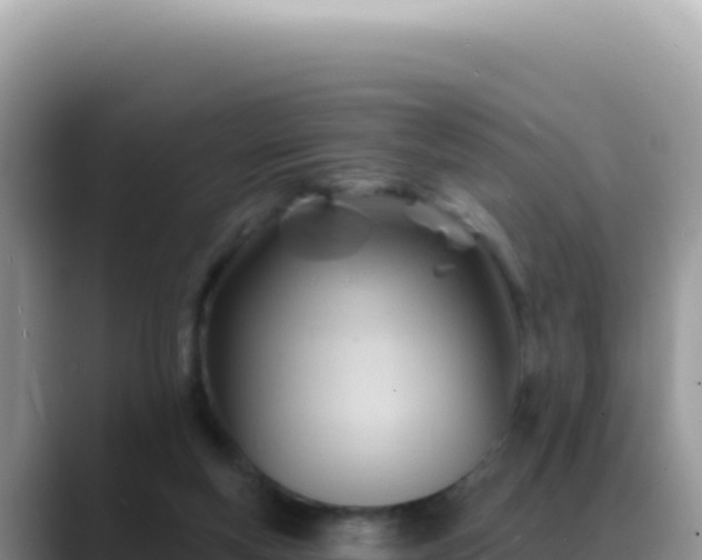 X0000088730163200706071647