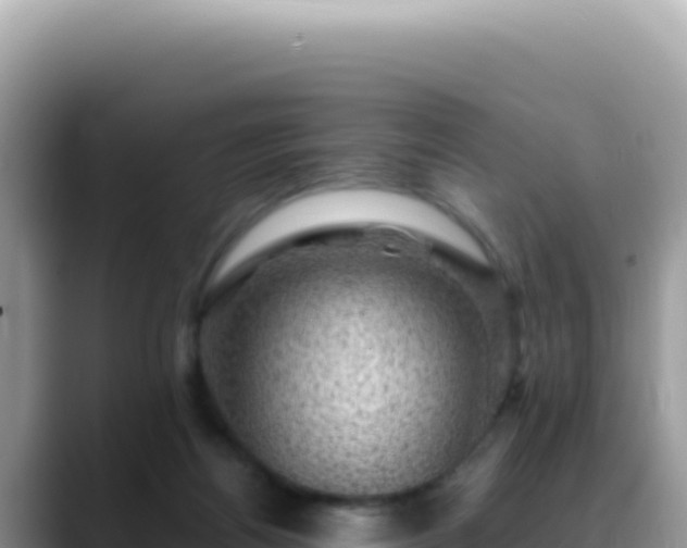 X0000088730164200706071647