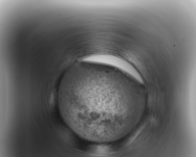X0000088730165200706071647