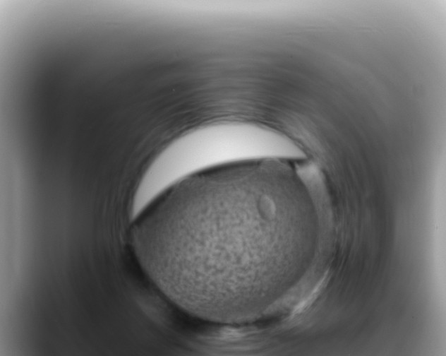 X0000088730166200706071647