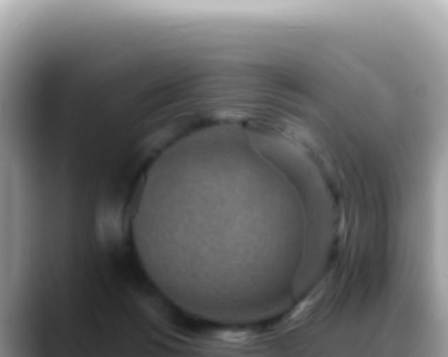 X0000088730168200706071647