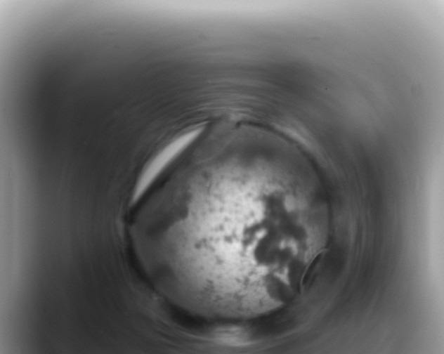 X0000088730169200706071647