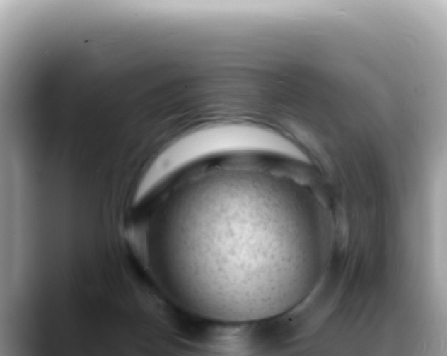 X0000088730170200706071647