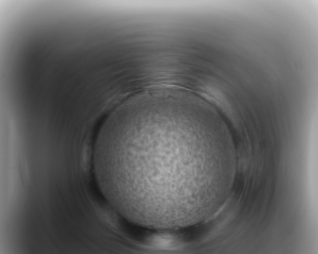 X0000088730171200706071647