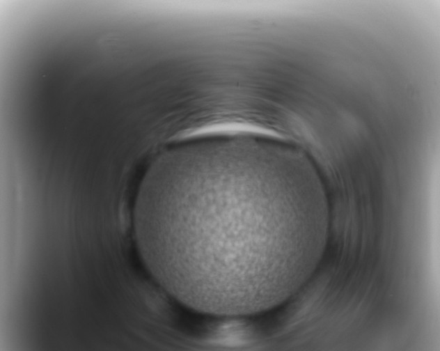 X0000088730173200706071647