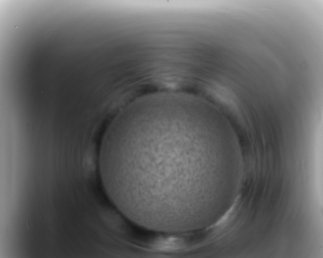 X0000088730174200706071647