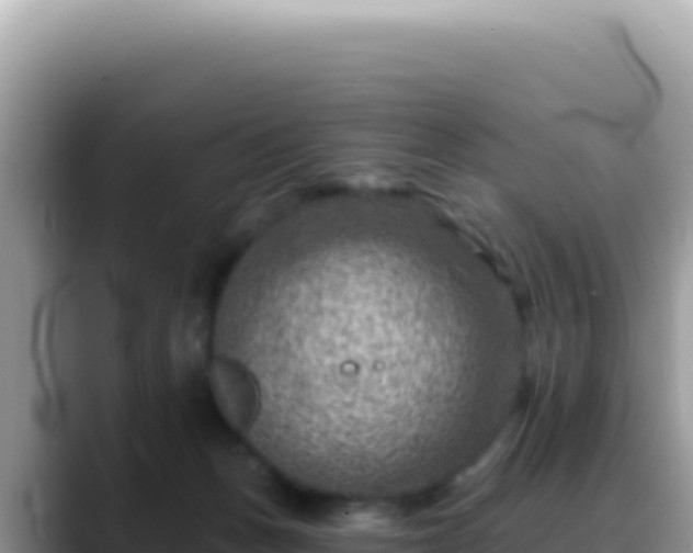X0000088730175200706071647