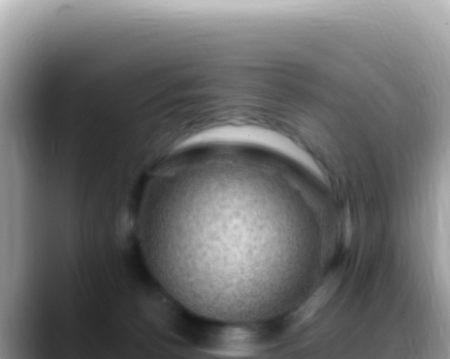 X0000088730176200706071647