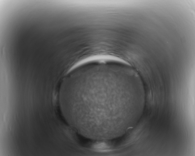 X0000088730177200706071647