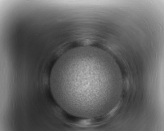 X0000088730178200706071647