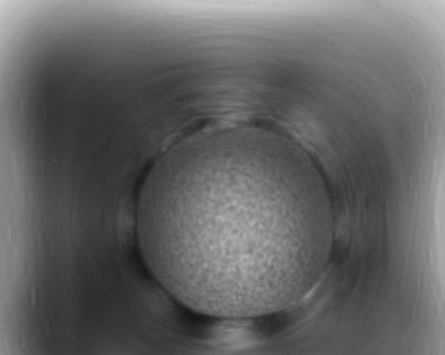 X0000088730179200706071647
