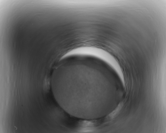 X0000088730180200706071647