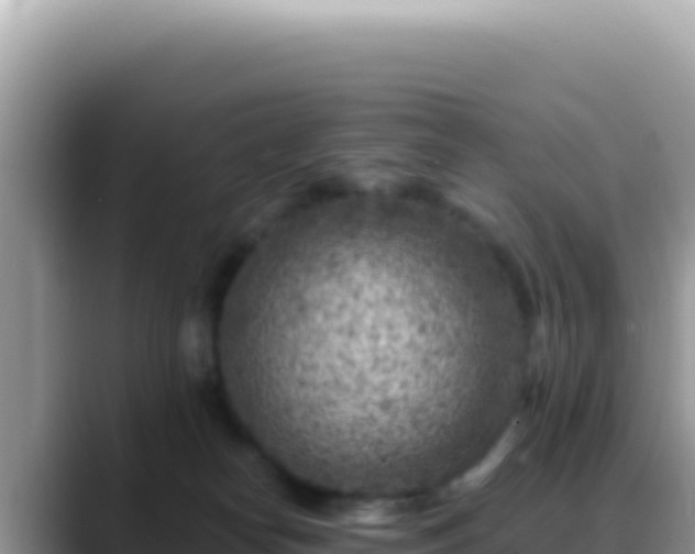 X0000088730182200706071647