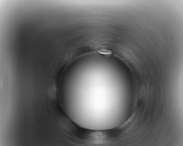 X0000088730183200706071647