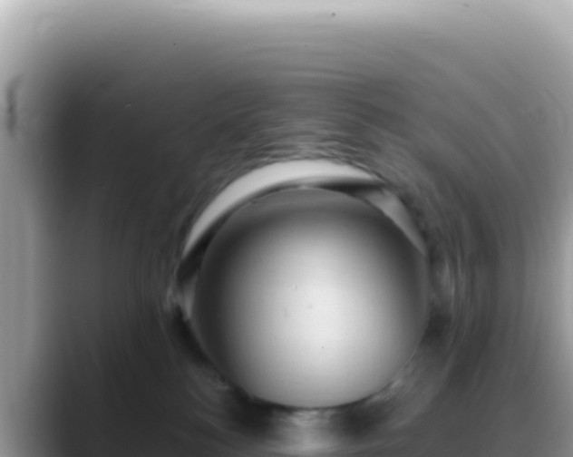 X0000088730184200706071647