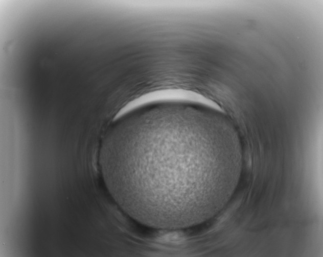 X0000088730185200706071647