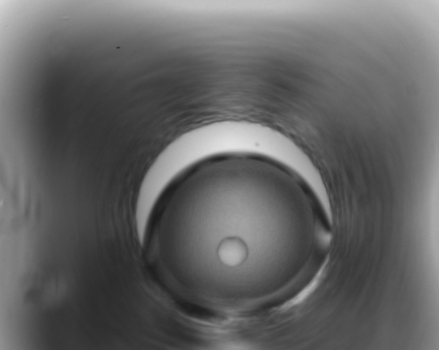 X0000088730186200706071647