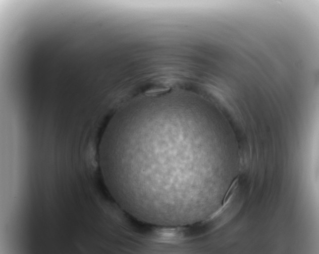 X0000088730187200706071647