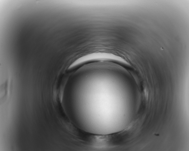 X0000088730188200706071647