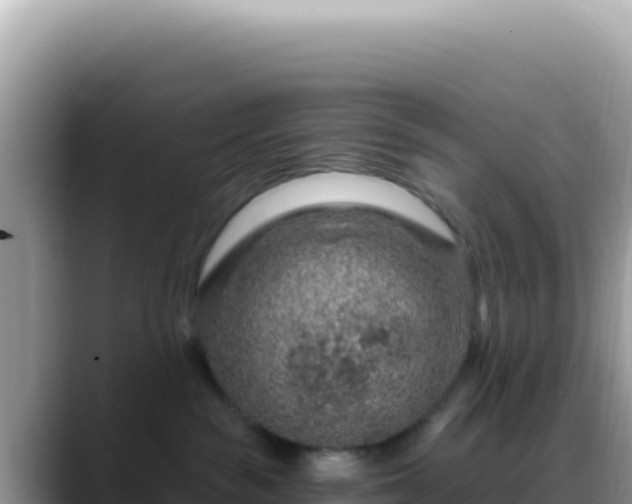 X0000088730189200706071647