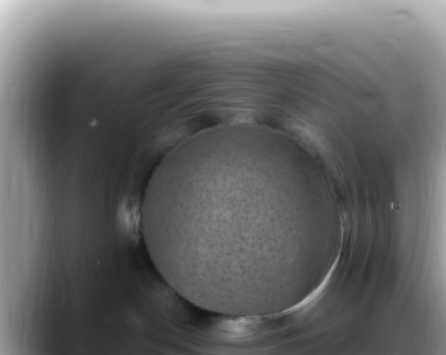 X0000088730190200706071647