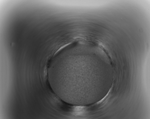 X0000088730192200706071647