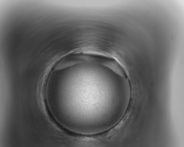 X0000088730193200706071646