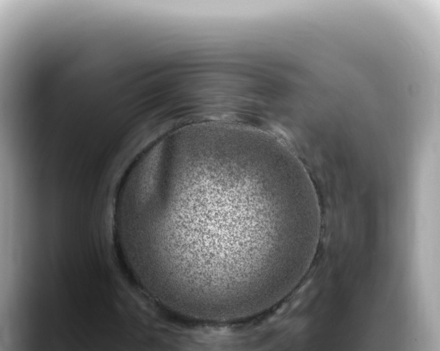 X0000088730194200706071646